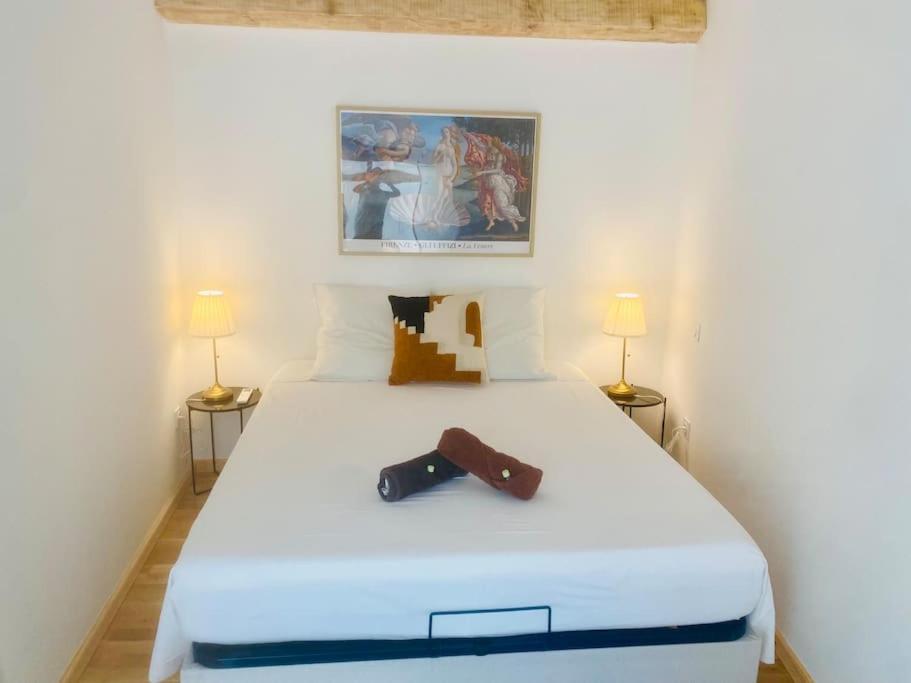 "Le Refuge" Duplex Quartier Haut, Climatise Sète Eksteriør billede